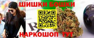 сатива Кингисепп