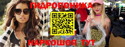гидропоника Кимры
