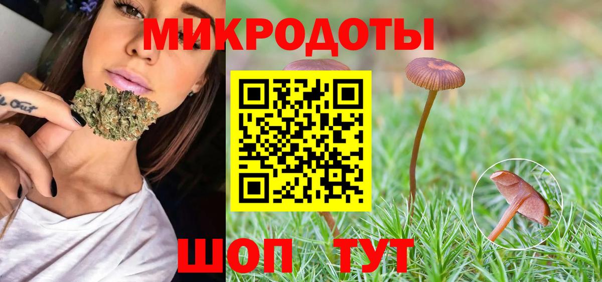 Кизляр  купить   Вход с VPN  Галлюциногенные грибы Magic Shrooms 